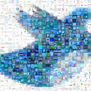 Follows us on Twitter